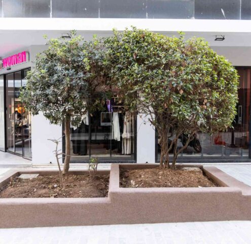 compressed_30_IMG_6496